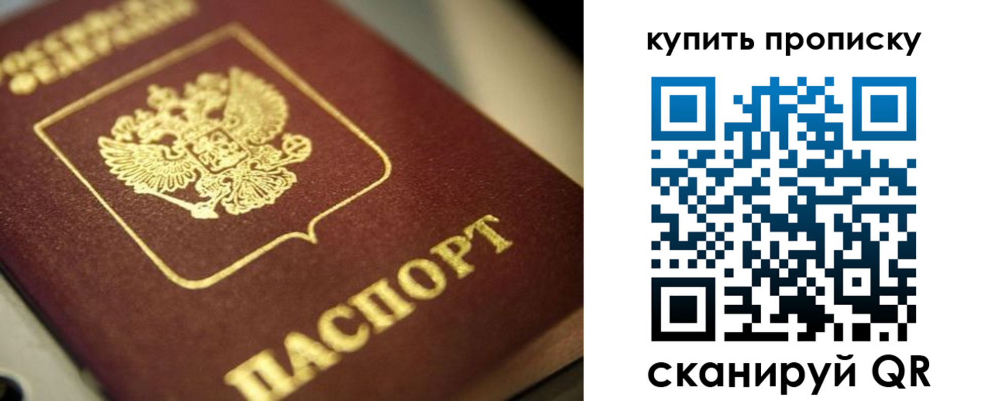 прописка поиск в Моздоке